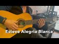 Flamenco guitar esteve alegria blanca spain