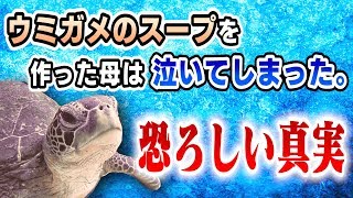 ３人で『新説 ウミガメのスープ』に挑戦！【推理クイズ】