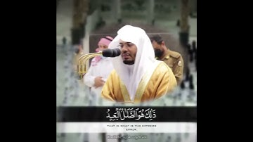 ياسر الدوسري حالات واتساب | يدعو من دون الله ما لا يضره ولا ينفعه ... | اكتب اسم قارئ تحب صوته🌹❤