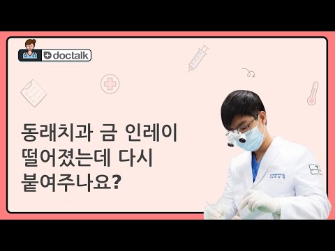 동래치과 금 인레이 떨어졌는데 다시 붙여주나요? (동래 20대 후반/여 인레이 떨어짐 재부착)