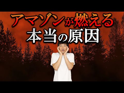 アマゾンの森林火災はなぜ起きる？日本のメディアが報じない「本当の」原因とは…