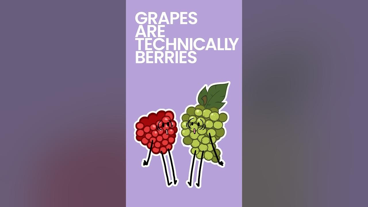 Grapes are Technically Berries shorts YouTube