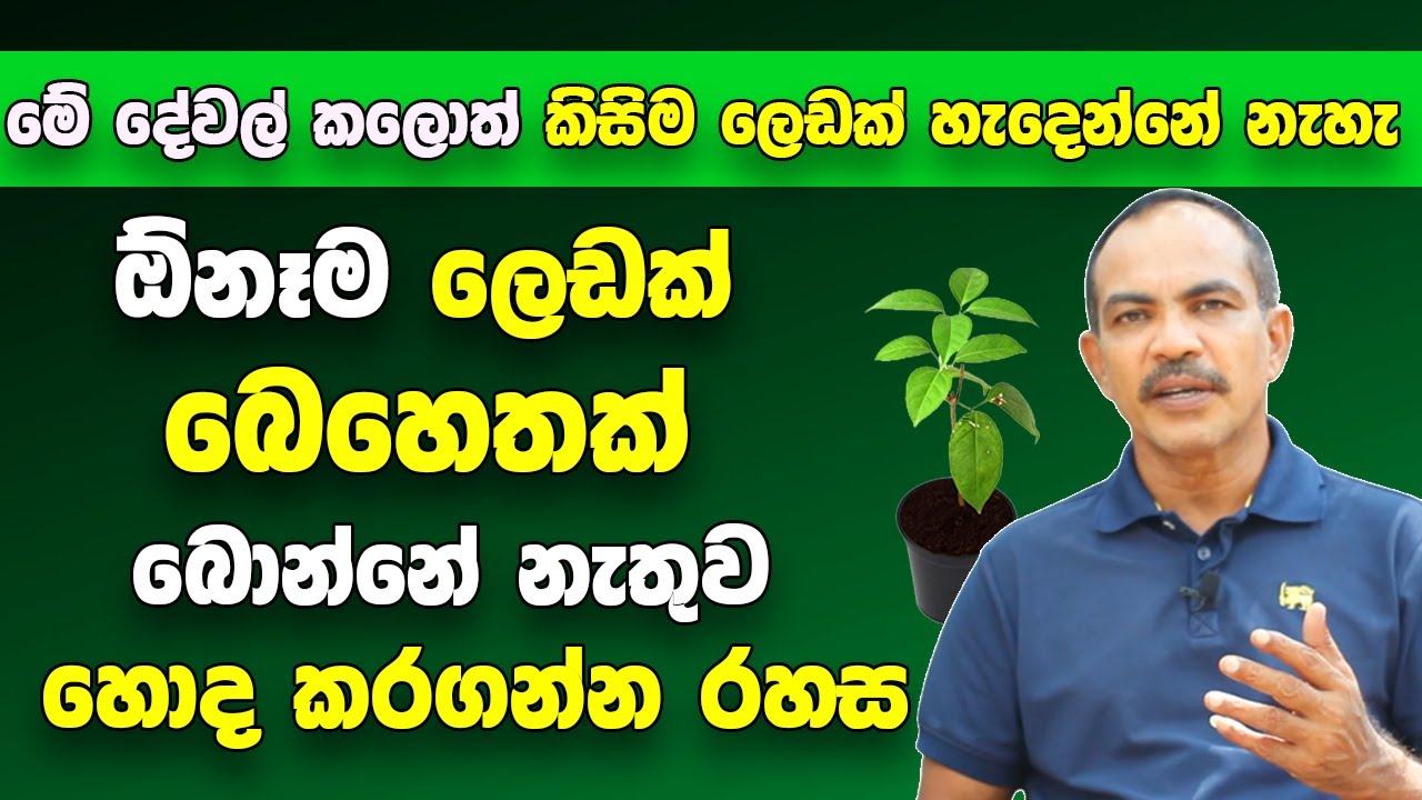 මේ රහස්  දන්නවා නම් ආයේ කවදාවත් ලෙඩ වලට බෙහෙත් බොන්න ඕනේ නැහැ|කිසිම  ලෙඩක්  හැදෙන්නෙත් නැහැ | Arogya