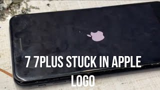 Iphone 7 plus stuck in apple logo solution