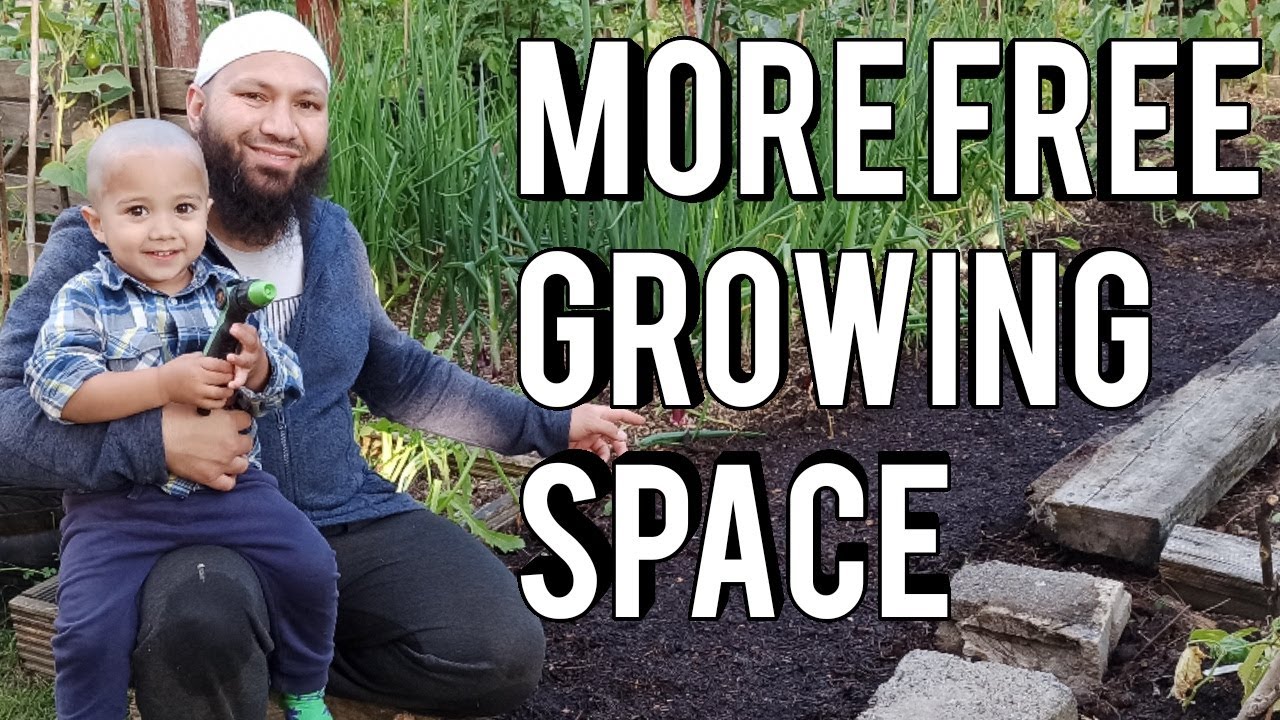 Making A No Dig Raised Bed - Using Sheet Mulching - YouTube