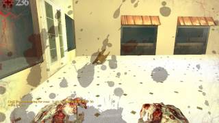 Zombie Panic: Source Mall Trolling a 12 year old