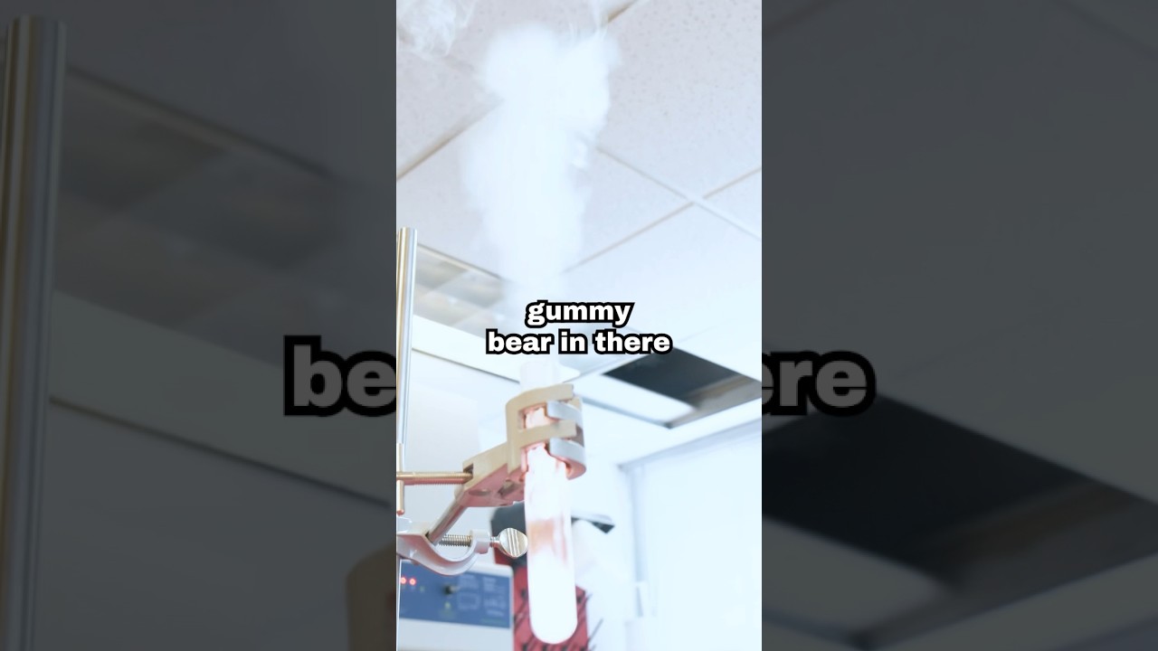 GUMMY BEAR EXPLOSION! #stem #steam #science #experiment