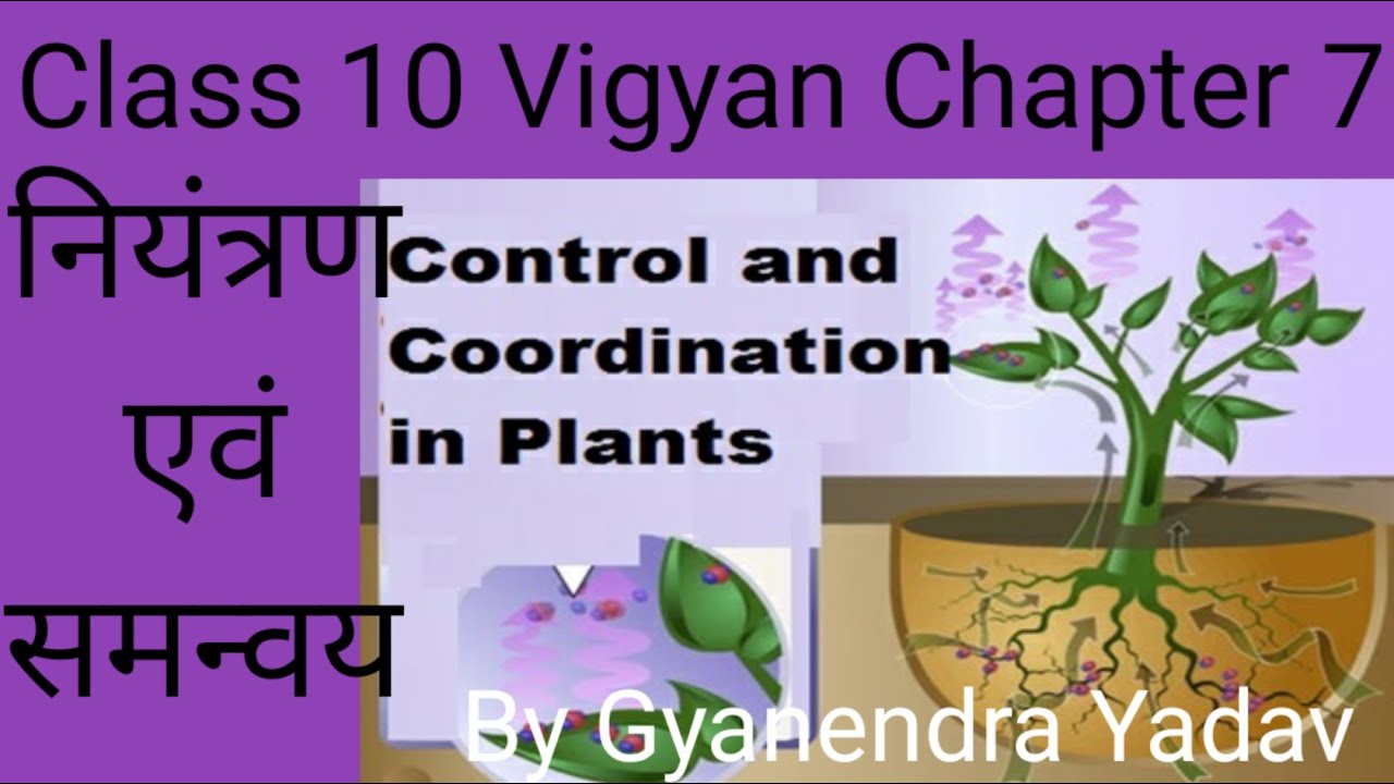 03 vigyan class 10 chapter 7 | प्रतिवर्ती क्रिया | पादप हॉर्मोन ...
