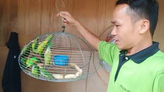 Teknik Termuda Ketika Membeli SERINDIT.