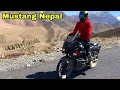 Mustang nepalmyagdeli rider