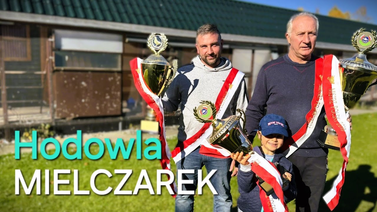 Wiesław & Przemysław Mielczarek - PZHGP 046 Częstochowa / Sezon 2024 🏆