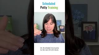 Potty Training Accidents Top 5 Questions About Potty Training