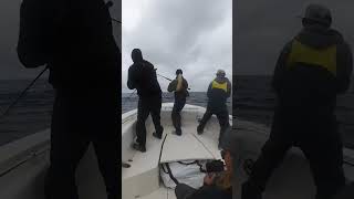 Its Not Over Email To Book Oliver .Com