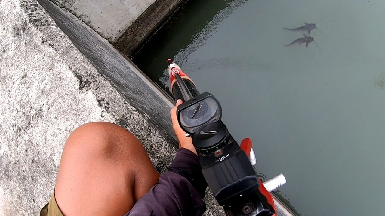 Saya Tidak Pernah Mengira Akan Menemukan Mereka Di Tempat Seperti ini