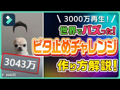snsで3000万回再生された動画「ピタ止めチャレンジ動画」の作り方を徹底解説！｜Wondershare Filmora