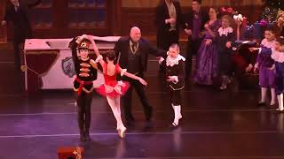 Nutcracker 2019  vod solid