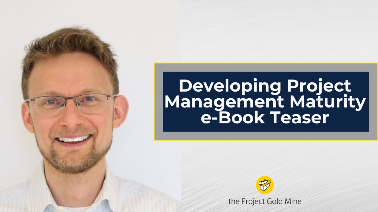 Developing Project Management Maturity  e-Book Teaser