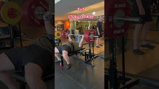 170kg (375 lbs) Bench 5x3 Tight setup, honest bar speed, every rep.#benchpress #powerlifting #ipf