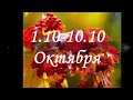 СТРЕЛЕЦ♐️ Таро-прогноз на 1-10 ОКТЯБРЯ 2020 года🍁🍂Общий онлайн-расклад.