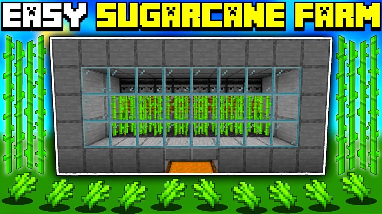 🦅 Minecraft Bedrock 1.20 | Easiest Sugarcane Farm Tutorial! - YouTube