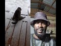 cats and show #funny #cat #cute #animals #pets #duet #FunnyCats