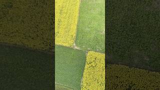 How to make fpv drone #rcmodel #airplane #planeshorts #automobile @rckayes