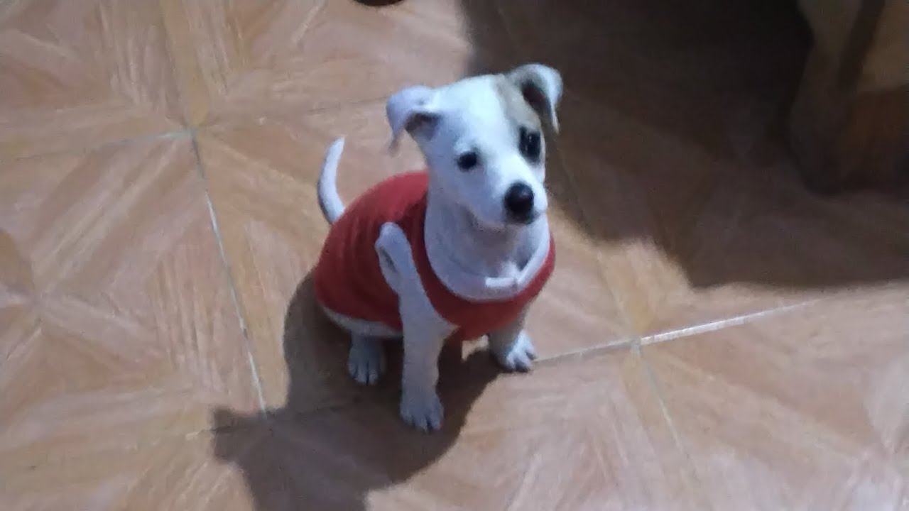 FnF después de 500 millones de años 🥰😭