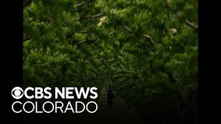 Celebrity Colorado bill increases farm workers' hour requirement for overtime pay Net Worth