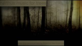 Nerthus ‎– Music For Trees (2013) [Full Album]