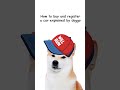 Doggo tries to buy and register a car #DMV #Nevada #Funny #dmvonline