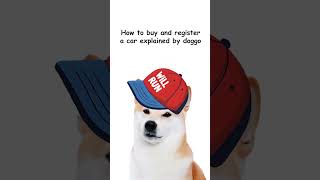 Doggo tries to buy and register a car #DMV #Nevada #Funny #dmvonline