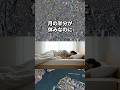 年収1000万円 年間160日休み 学歴不問 9割が絶対らない #転職 #企業紹介 #転職活動 #就職 VOICE:青山龍星 ad