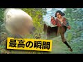 【最高の瞬間30選】環境生物を蹴り飛ばす受付嬢にドン引きする瞬間ｗ神業面白プレイ最高の瞬間！【モンハンワイルズ/Monster Hunter】】