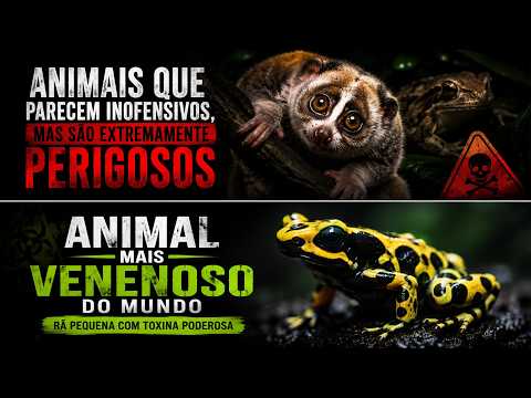ANIMAIS QUE PARECEM INOFENSIVOS, MAS PODEM MATAR! 😱