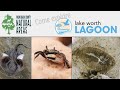 ERM Virtual Field Trip: Lake Worth Lagoon