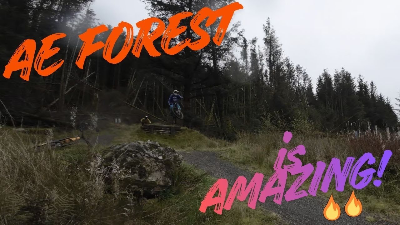 AE Forest 1st ride