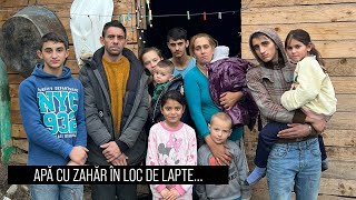 Apă cu zahăr în loc de lapte! | Vacă pentru 9 copii