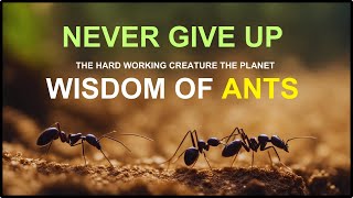 These ants were very hardworking, and they had a special talent. #motivationalstory #hardworking