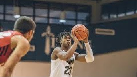 Jaden Ivey Game Winner | Purdue vs Ohio State