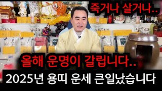 2025년 용띠 운세 큰일났습니다.. 죽거나 살거나.. 올해 운명이 갈라집니다.. 청주 상승 법사 010.9…