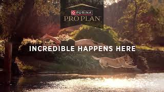 It All Starts Here – Pro Plan Sport by Purina Pro Plan 361 views 4 months ago 16 seconds