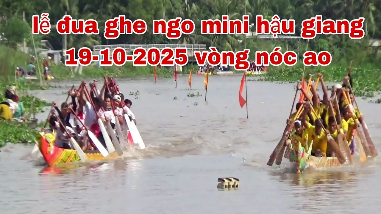 LỂ HỘI ĐUA GHE NGO MINI TẠI HẬU GIANG VÒNG LOẠI TRỰC TIẾP  19-10-2025