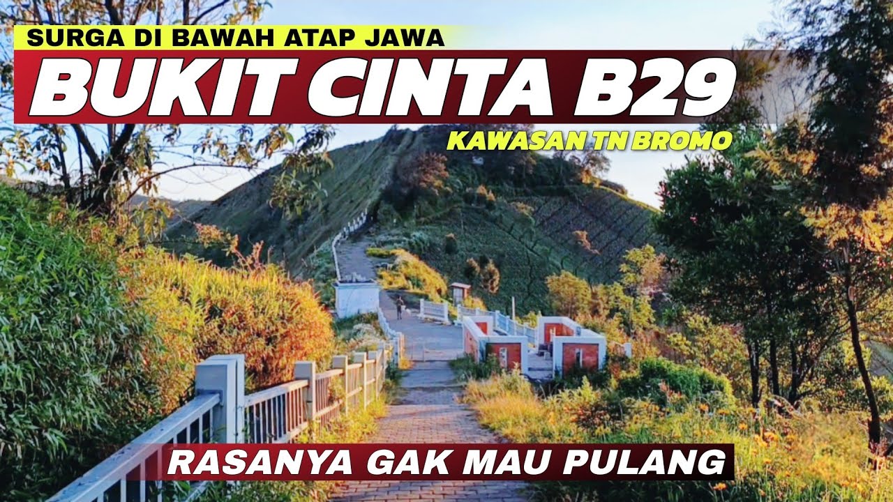 Surga Tersembunyi Lumajang Barat! Melihat Keindahan Bukit Cinta Puncak B29 Terbaru 2025