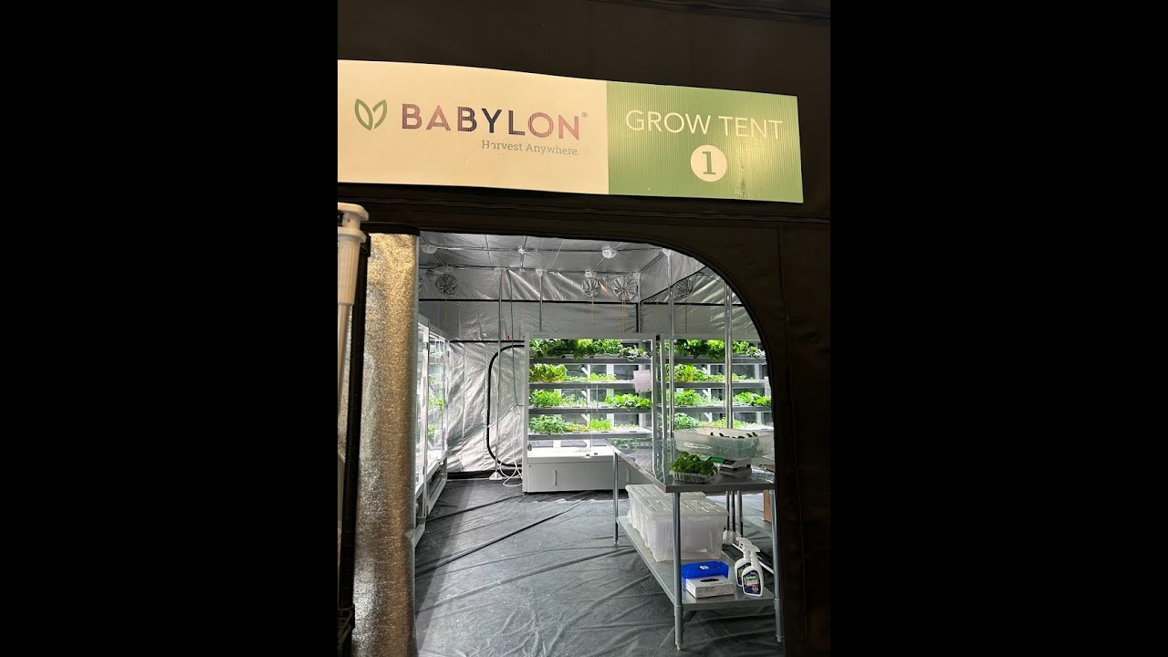 Grow Space - YouTube
