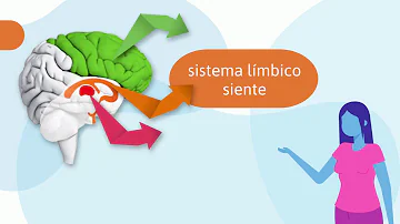 ¿Qué le ocurre al cerebro tras un trauma infantil?