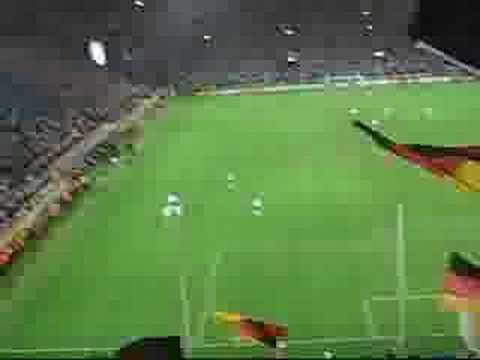 Torjubel Deutschland - Polen im Stadion