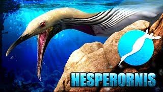 UN MONSTRE MARIN IMPROBABLE - l'hesperornis