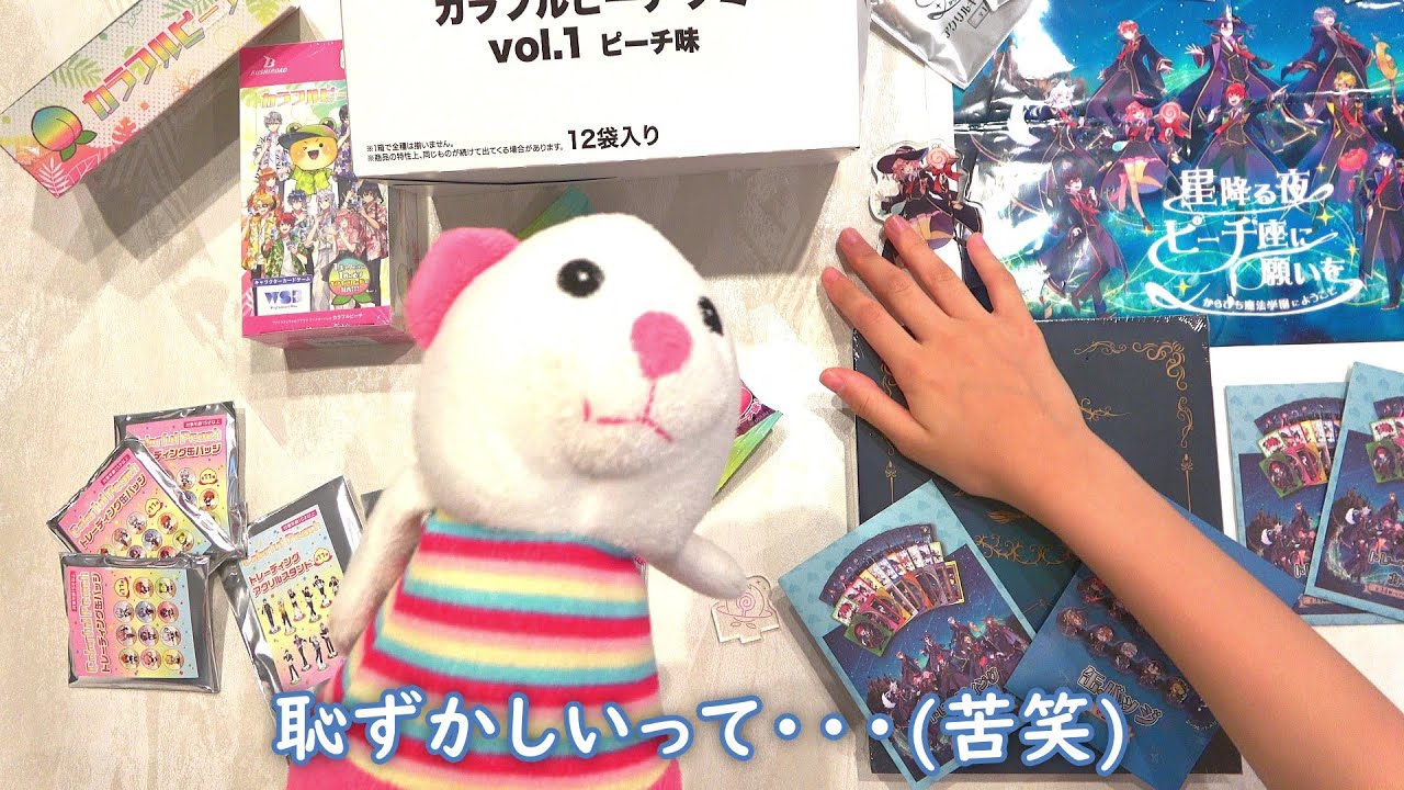 お疲れサマーランド( 