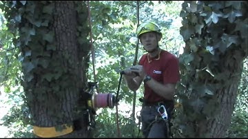 Roanoke Tree Removal- Storm Damage Rigging by Extreme Tree Company