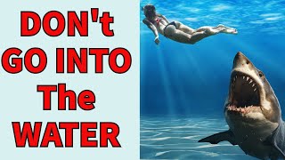 Oceans Fear The Great White Shark Hunts